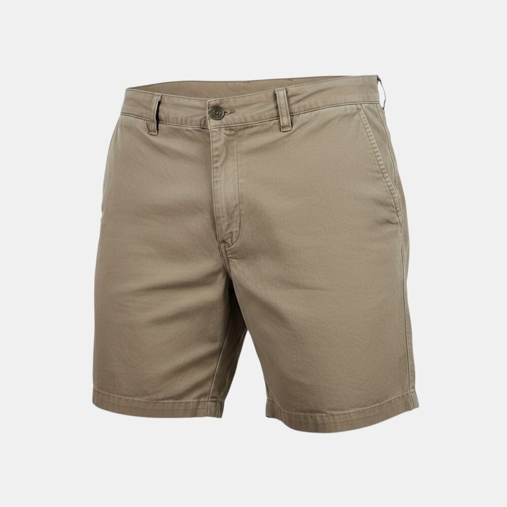 Patagonia Organic Cotton Shorts Mens 38 Brown Outdoor Casual